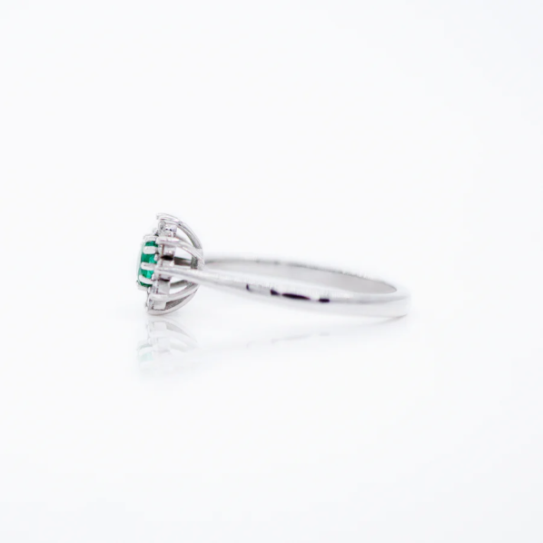 LD 0142 Esmeralda - Imagen 2