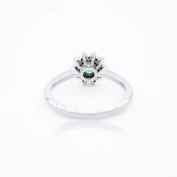 LD 0142 Esmeralda - Imagen 3