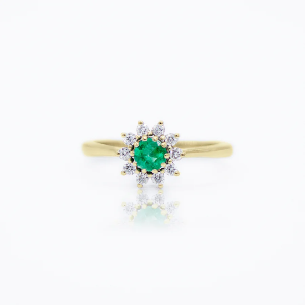 LD 0142 Esmeralda - Imagen 4