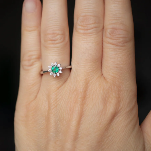 LD 0142 Esmeralda - Imagen 6