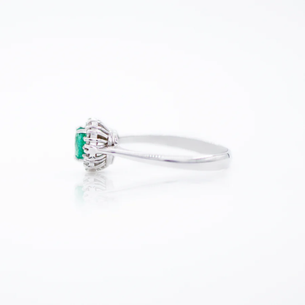 LD 0143 Esmeralda - Imagen 2
